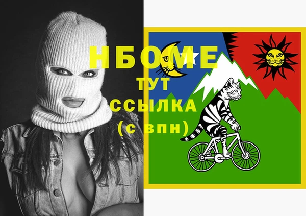 прущий лед Алзамай