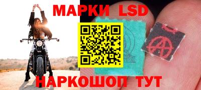 индика Пенза