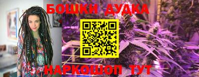 индика Пенза