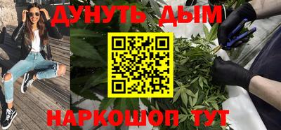 индика Пенза