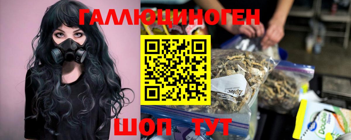 Бирск  Псилоцибиновые грибы прущие грибы  Вход с VPN 